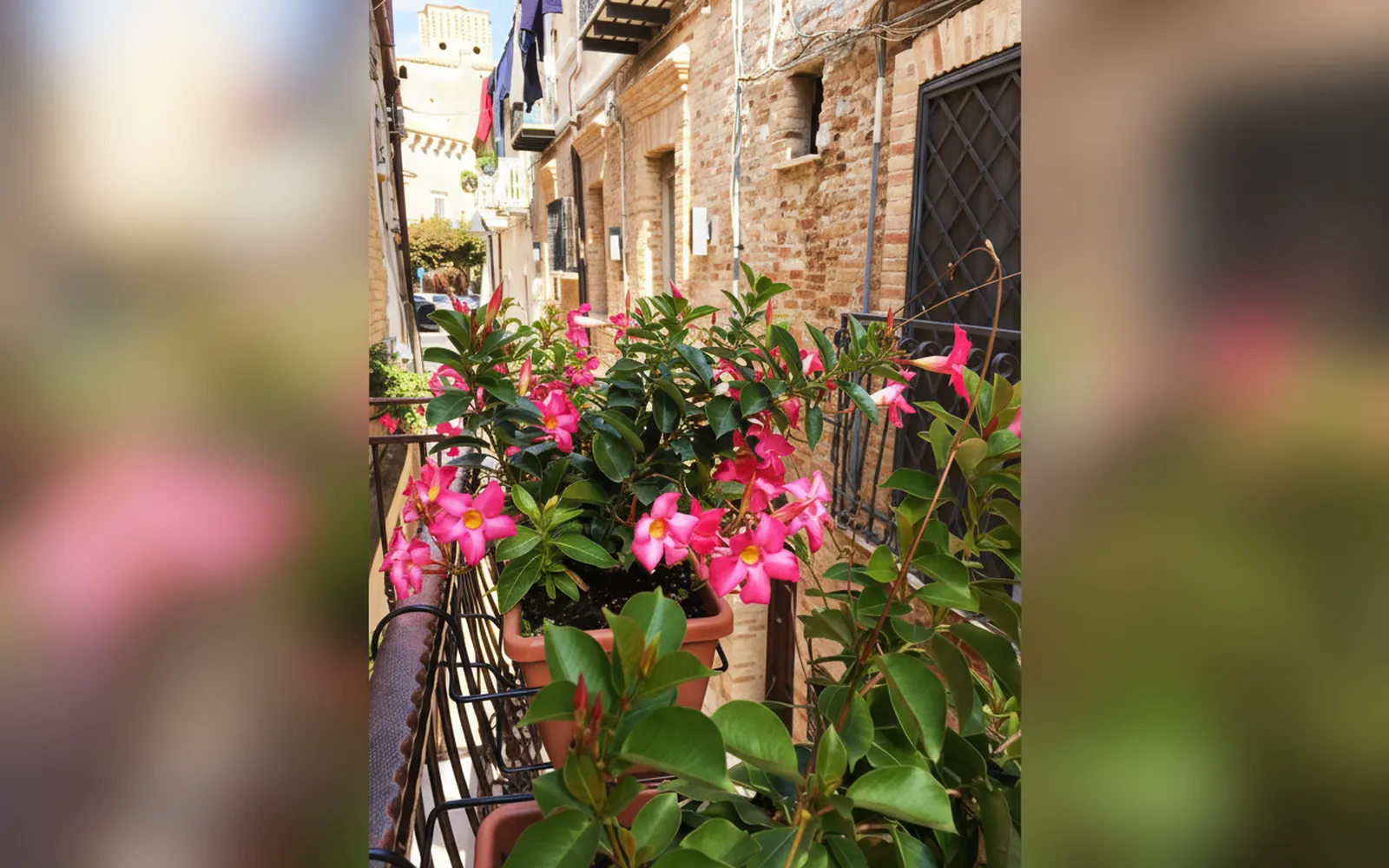 Guest House Dimora Fiorita, Serracapriola (Puglia) — galleria foto 48
