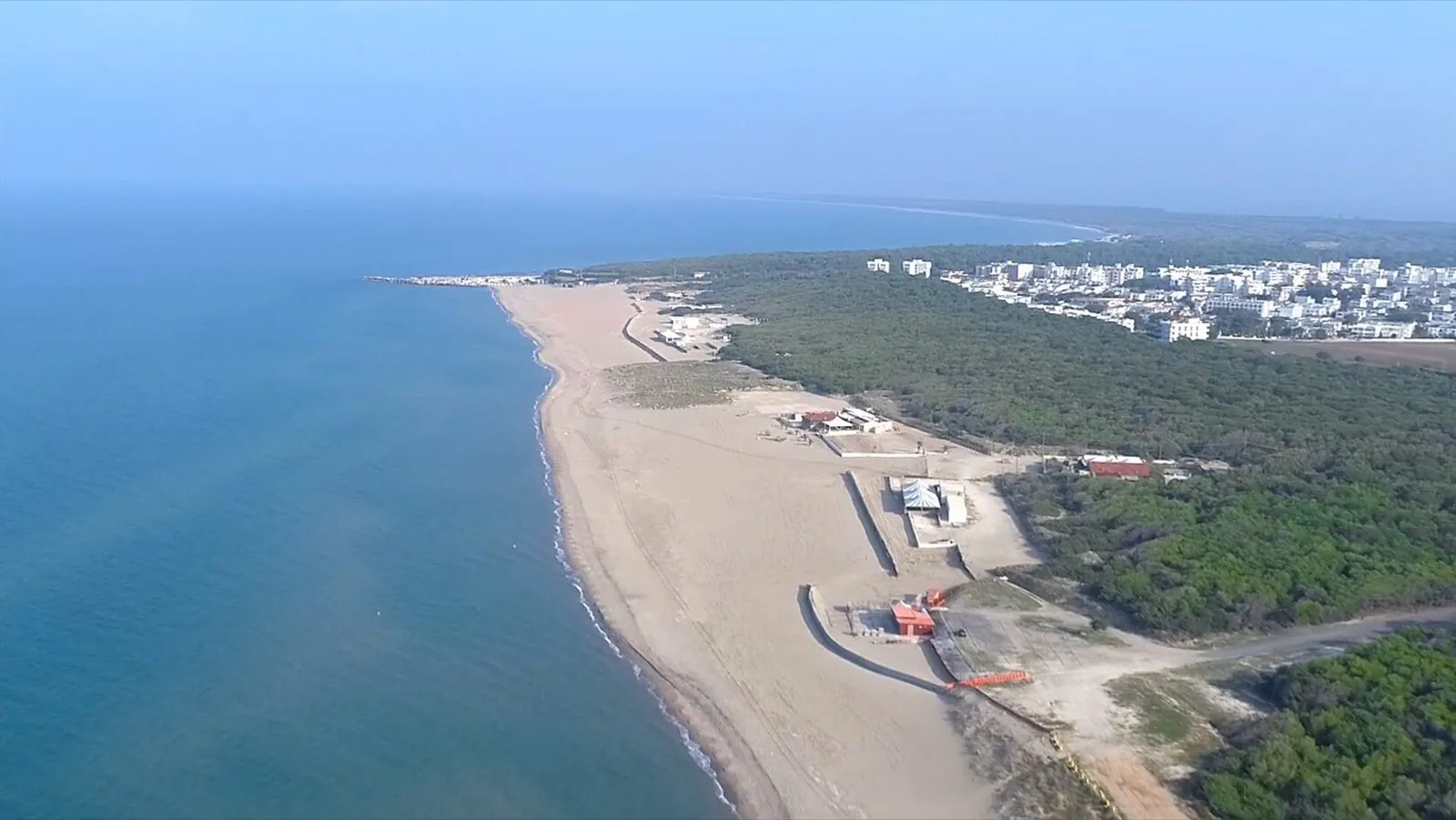 Veduta aerea di una lunga spiaggia di sabbia chiara bagnata da un mare azzurro e calmo, con una fascia di pineta alle spalle e le case bianche di una località balneare sullo sfondo